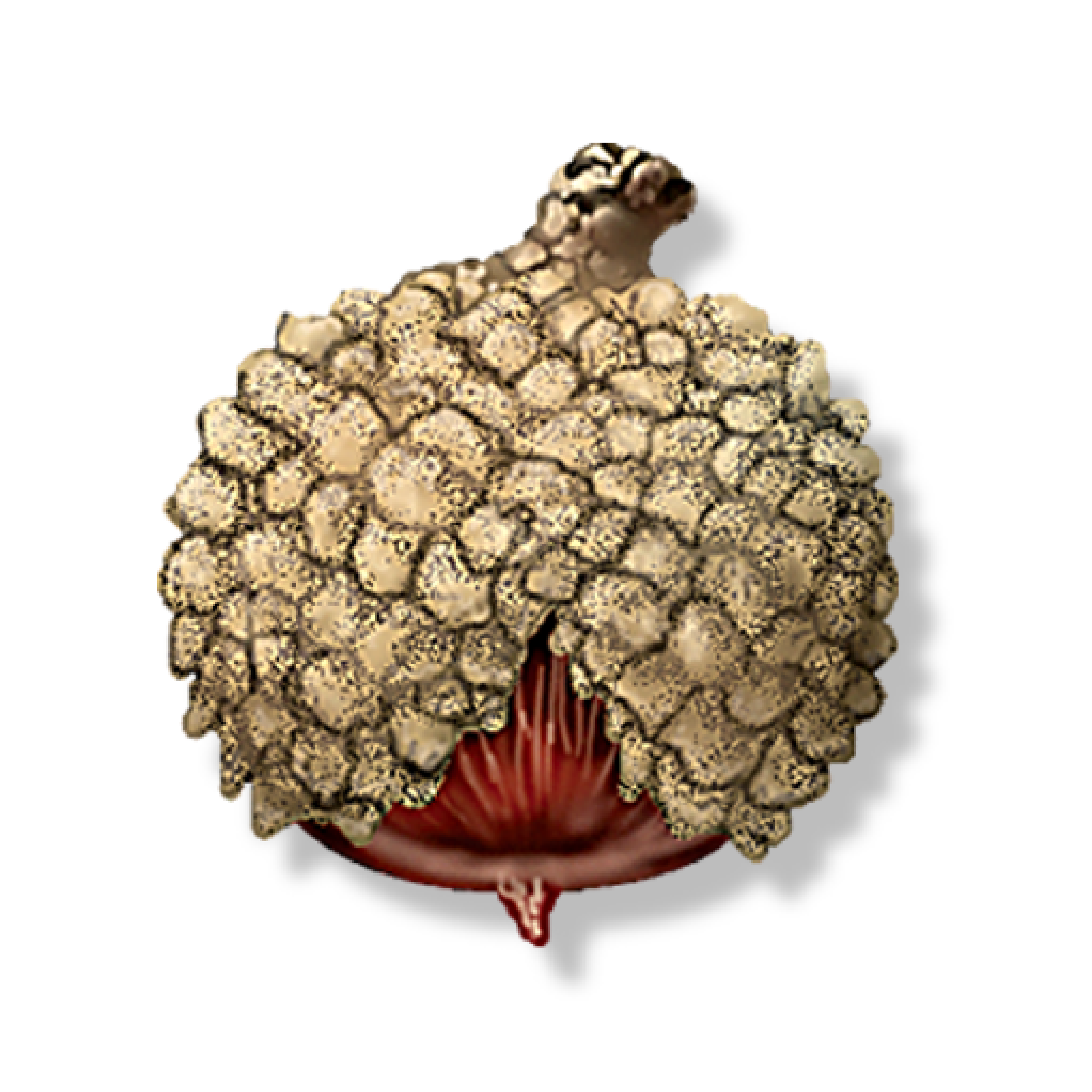 A detailed illustration of a sea creature with textured scales and a red underside.