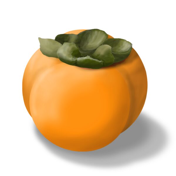 Persimmon - Image 6